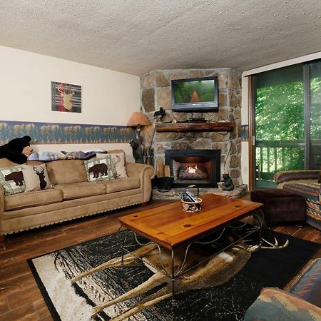 Bear Creek 167 Βίλα Gatlinburg Εξωτερικό φωτογραφία